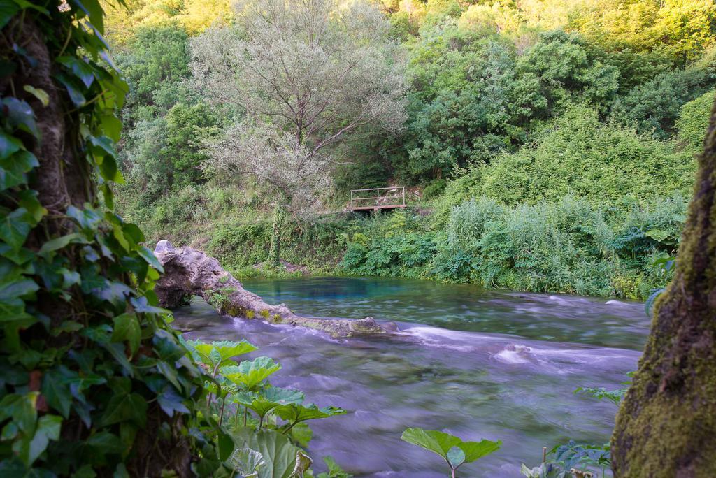 Vila Florika Hotel Borsh Εξωτερικό φωτογραφία